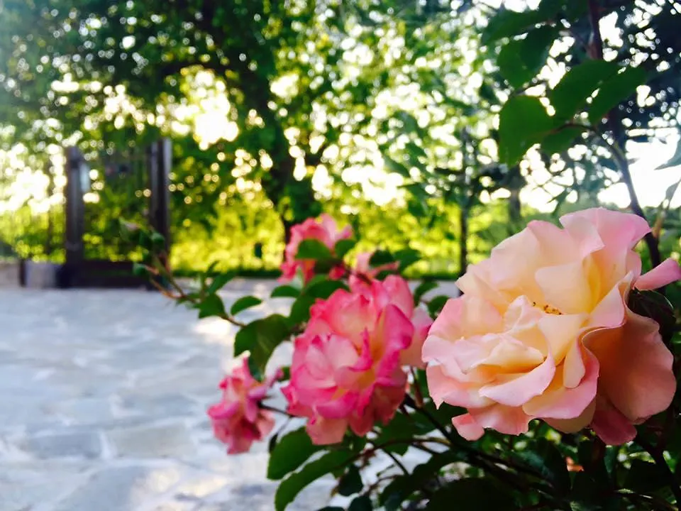 Bed & Breakfast B&B Osteria Dello Sperone Lonate Pozzolo