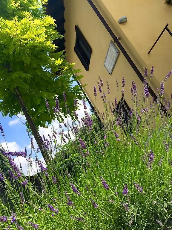 B&B Osteria Dello Sperone Lonate Pozzolo Bed & Breakfast